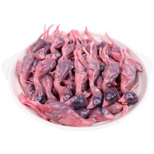 新鲜小鹌鹑肉乳鹌鹑现杀速冻非冻干生骨肉宠物零食肉类鹌鹑幼仔雏