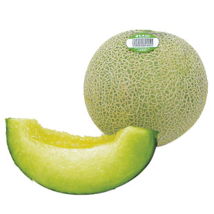 日本网纹甜瓜种子种籽孑苗秧特甜香瓜哈密瓜春季瓜苗北方老品种