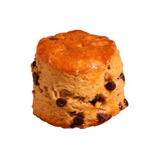 清晨里 咖啡巧克力豆司康饼干西式糕点下午茶甜品零食松饼小点心