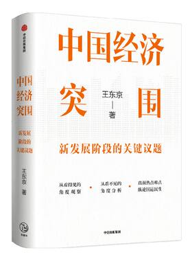 中国经济突围王东京中信出版
