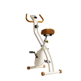 铁人体育可折叠免安装磁控健身车室内家用小型动感单车蓝牙APP