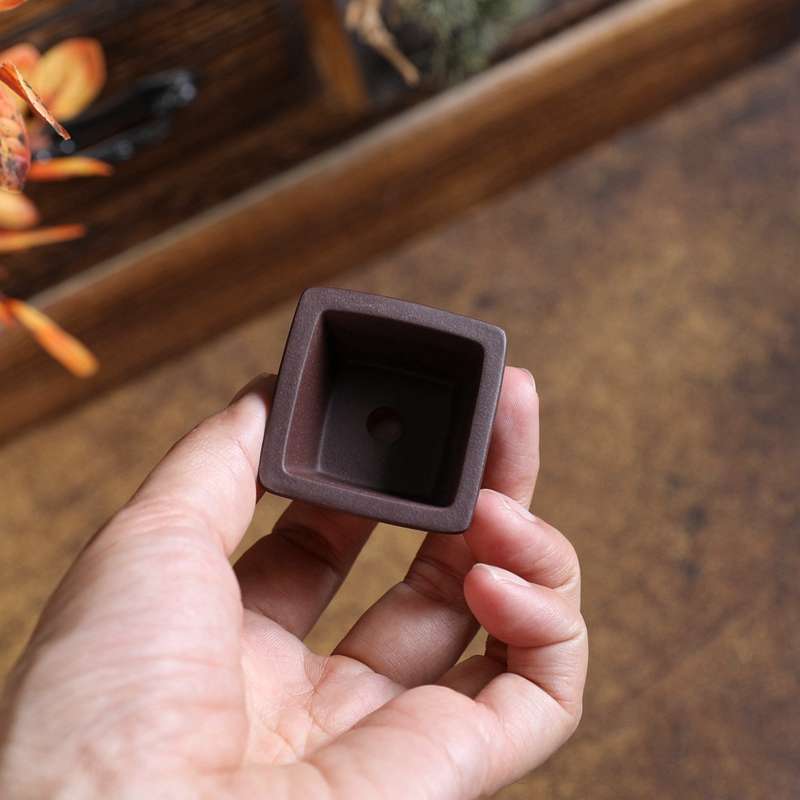 『拇指-飞流正方』暖暖精选 宜兴紫砂花盆 手工盆 迷你指尖花盆