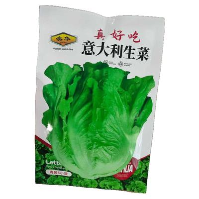 澳华意大利真好吃生菜种子四季种