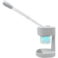 中藥包家用熱噴熏蒸蒸臉器大噴霧