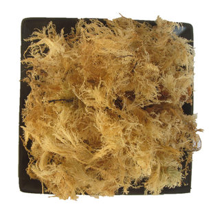 海冻菜石花菜青岛海凉粉冻毛海藻干货海石花草石花膏四果汤250克