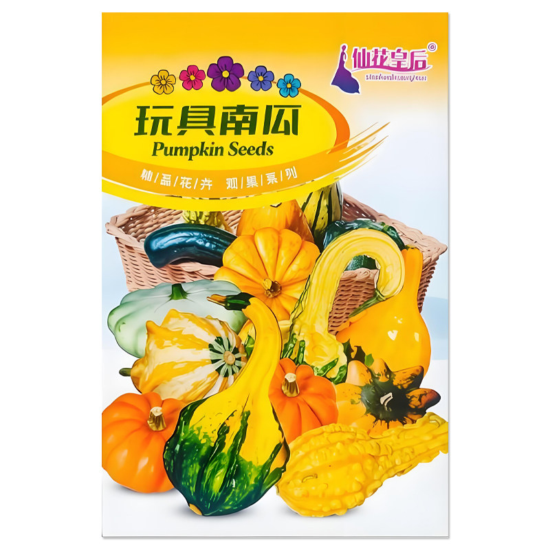 玩具南瓜种子多彩小南瓜