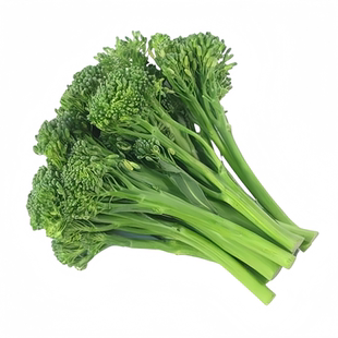 耐寒西兰苔菜苗西兰花苗多次采收甜杆苔菜种籽子秋冬四季南方种植