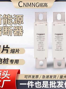 充电桩熔断器RSM3178(RS309FWP电动汽车)直流/DC1000V200A新能源