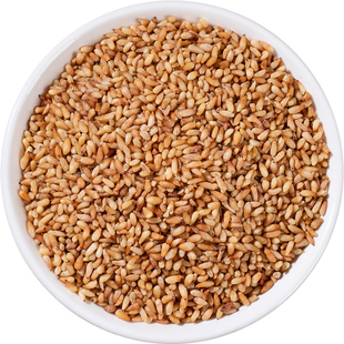 柏子仁中药材500/250/100/50柏子仁正品柏子仁粉柏实籽另售酸枣仁