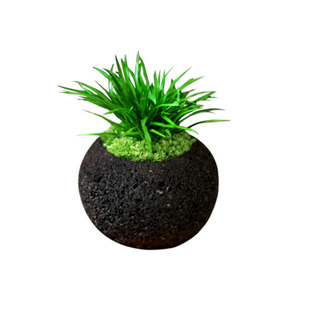 天然火山石花盆岩石花盆云南腾冲圆球花盆多肉菖蒲小绿植盆栽花盆