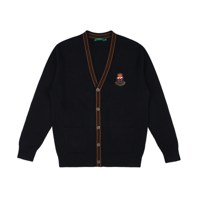 【舒弹羊毛】RaidyBoer/雷迪波尔2025秋男贴布绣针织毛衣开衫5405