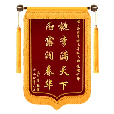 高档锦旗感谢医生送幼儿园教师