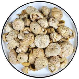 新货石渠白菌100克包邮四川甘孜特产干货野生菌菇煲汤料送礼礼盒