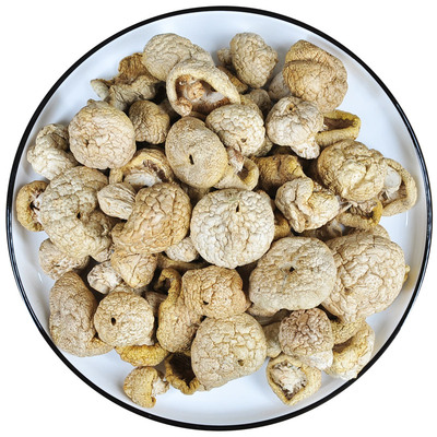 石渠白菌高原藏区特产100克礼盒