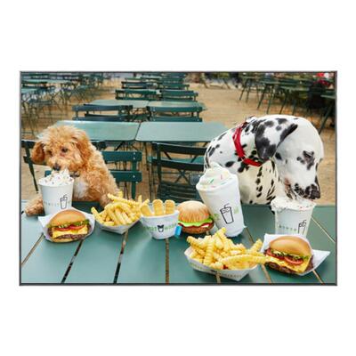 2022新款治愈系挂画ivexes时尚简约可定制