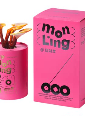 招财灵鲜活灵芝盆栽转运礼盒摆件