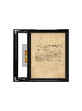 【肖邦艺术联名】中古风电表箱画
