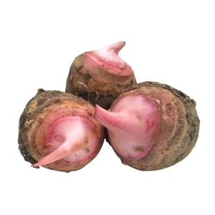 新鲜红芽芋粉糯芋头蔬菜农家现挖现发毛芋头特产芋艿非荔浦芋包邮