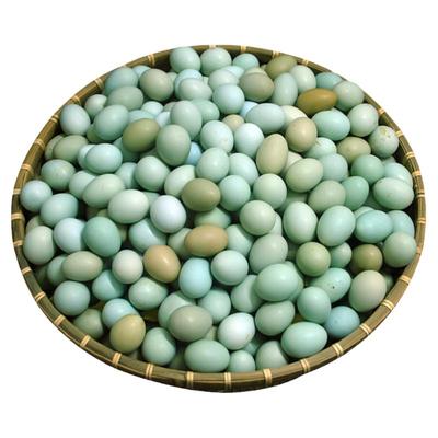 底胆固醇高营养绿壳蛋60枚新鲜