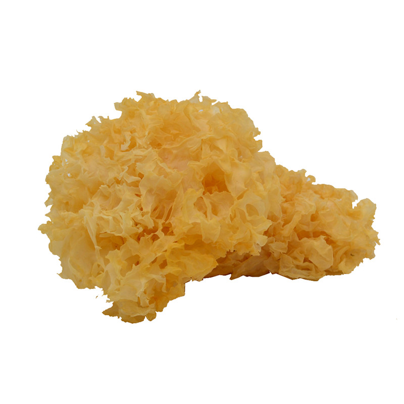 山东农家特产优级银耳白木耳雪耳糯耳非古田250g 无任何熏染！