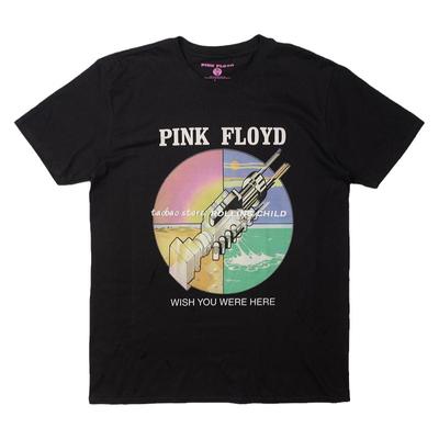 正版pinkfloyd平克vintages现行