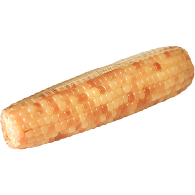 云南西双版纳香糯小玉米10~14根