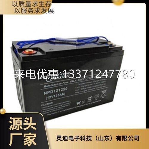 NEUTONPOWER蓄电池NPL1223012V230AH精密仪器直流屏UPS电源配