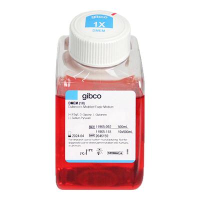 Gibco 11965-092 DMEM高糖培养基 含L-谷氨酰胺不含丙酮酸钠HEPES