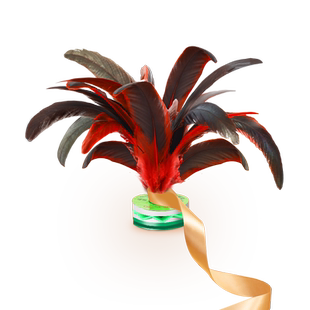 带绳鸡毛毽子儿童小学生运动比赛专用耐踢跳健腱子幼儿园羽毛花毽