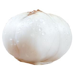 兰州新挖新鲜甜百合500g三头食用鲜白合甘肃特产非干货特级百合干