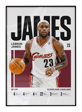 NBA篮球装饰画詹姆斯科比哈登东契奇布伦森文班亚马爱德华兹麦迪