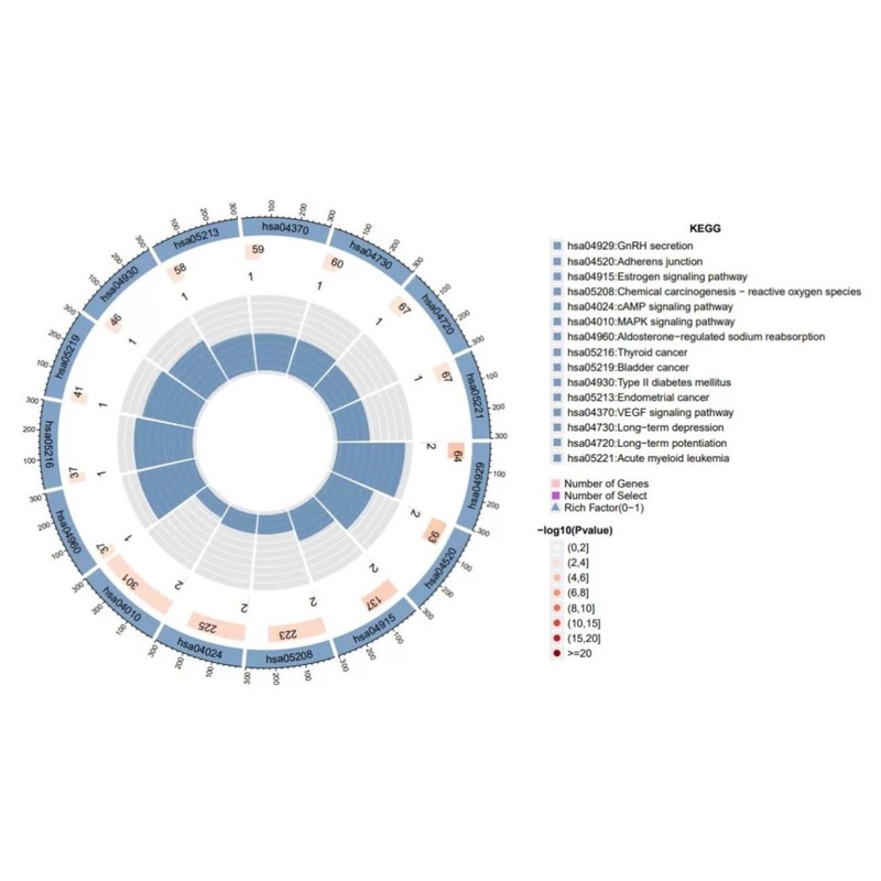 生信分析服务GBD/NHANES全球疾病负担 联合作图 挖掘代码指导答疑