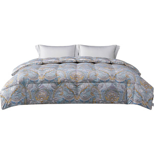 ROYALCOVER/罗卡芙菲尔特抗菌分区保温95%鹅绒被夏被冬被子被芯