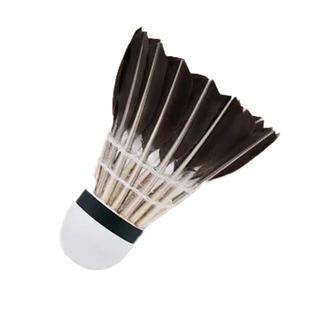 kawasaki川崎羽毛球训练系列优选黑色羽毛落点精准耐打飞行黑桃A