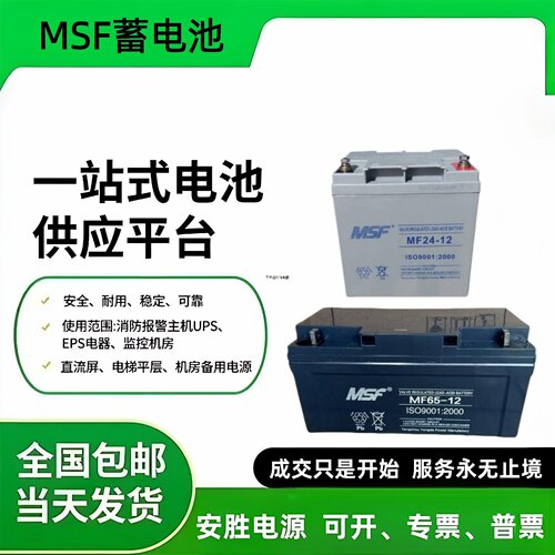MSF蓄电池MF12V17AH24AH38AH40AH65AH100AH直流屏UPS机房EPS电源