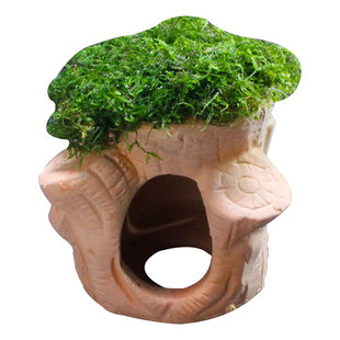 观赏虾孔雀鱼螺莫斯丝水草陶罐躲避屋虾窝洞慈雕产卵繁殖净化造景