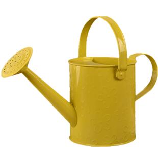 园艺小型家用宝宝儿童多彩铁皮洒水壶浇花浇水壶水桶花艺插花装饰