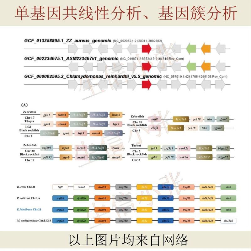 生信分析数据服务单细胞测序转录组TCGA GEO数据生信图咨询