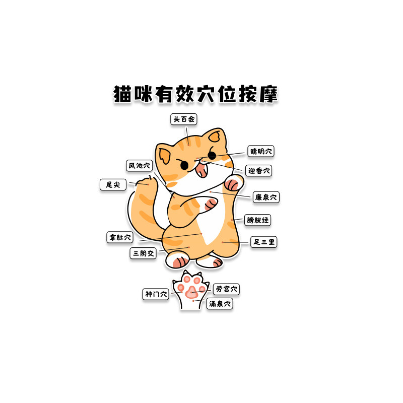 网红打卡撸猫咪说明书馆咖贴纸形象部位墙面宠物店装饰图氛围布置