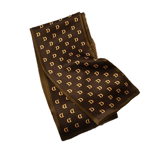 不期而遇的生活董璇李匆匆同款咖色长条丝巾桑蚕丝细窄飘带高级感