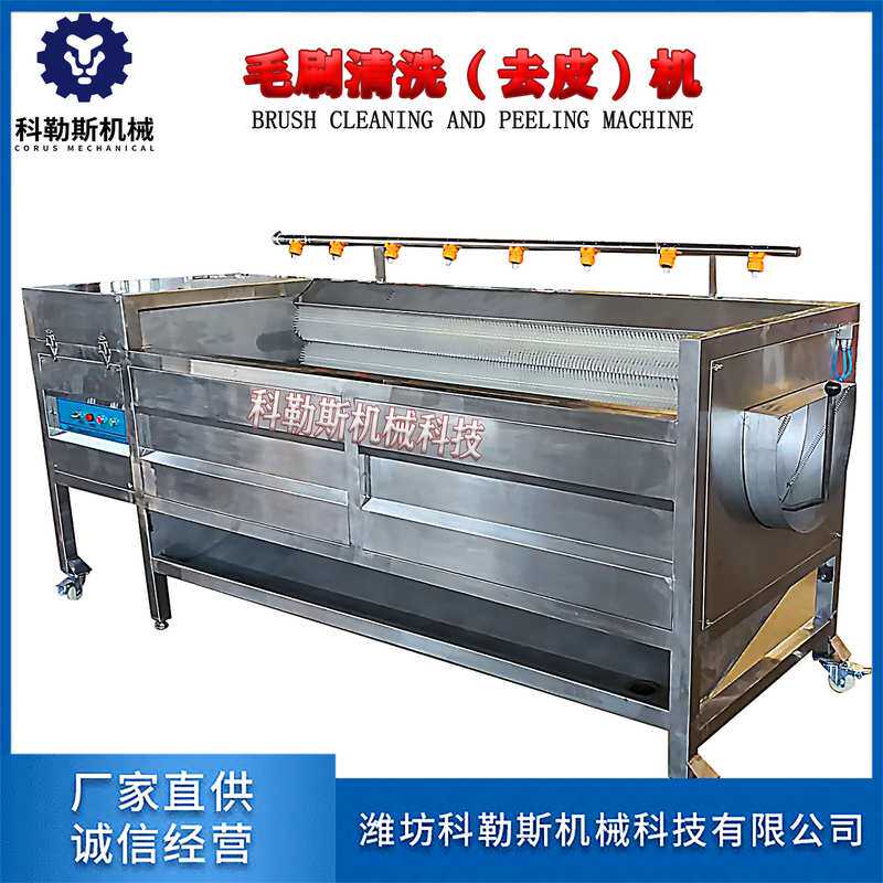 毛刷脱皮机商用蔬菜加工清洗果蔬脱皮设备土豆去皮清洗机批发
