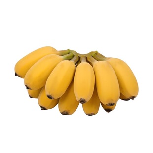 广西正宗苹果蕉5斤 banana新鲜香蕉粉蕉自然熟当季非小米芭蕉香焦