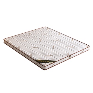 椰棕床垫棕垫棕榈硬垫子一体1.5米可定制1.8米经济型护腰家用床垫