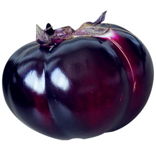 圆茄种子茄子苗孑高产黑紫色菜特大圆蔬菜秧茄种籽秧苗大全带土