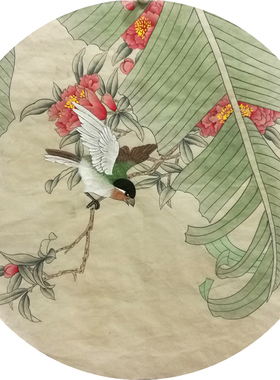 芭蕉入门熟宣纸手绘稿工笔花鸟画