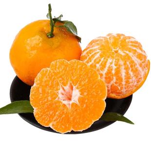 正宗8斤四川春见耙耙柑水果新鲜当季整箱丑八怪桔子粑粑柑甜包邮