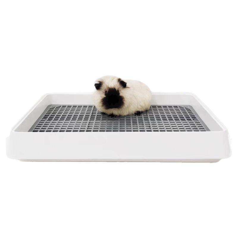小宠物荷兰猪厕所天竺鼠平板尿盆兔兔尿盘大龙猫豚鼠专用便盆用品