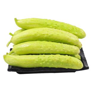 海阳白玉水果瓜种子种籽水果黄瓜新品种四季黄瓜籽种大全蔬菜旱脆