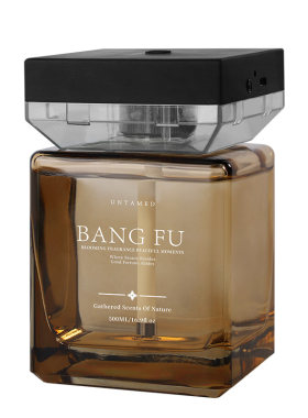 BANGFU车载香薰自动喷雾声控