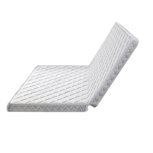 埃迪蒙托天然椰棕床垫黄麻棕榈乳胶护腰硬垫儿童榻榻米定制可折叠